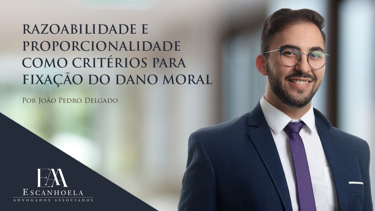 (Português) Razoabilidade e proporcionalidade como critérios para fixação do dano moral