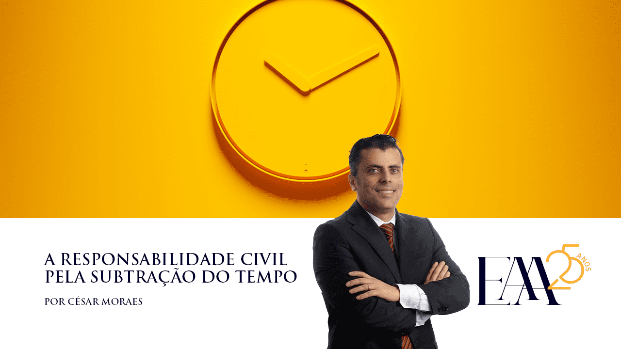 (Português) A responsabilidade civil pela subtração do tempo
